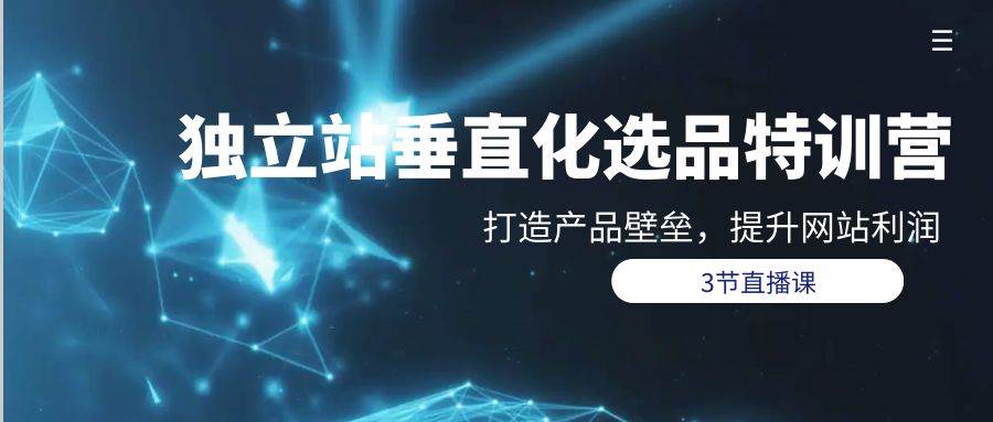 独立站-垂直化选品训练营，打造产品壁垒，提升网站利润（3节直播课）-巴叔叔资源网