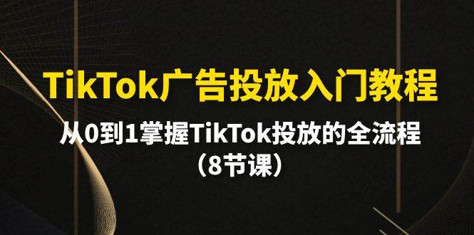 TikTok广告投放入门教程，从0到1掌握TikTok投放的全流程（8节课）-巴叔叔资源网