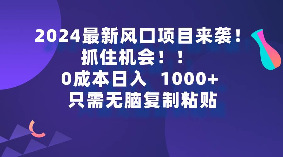 2024最新风口项目来袭，抓住机会，0成本一部手机日入1000+，只需无脑复…-巴叔叔资源网