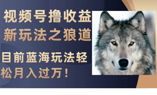 视频号撸收益新玩法之狼道，目前蓝海玩法轻松月入过万！-巴叔叔资源网