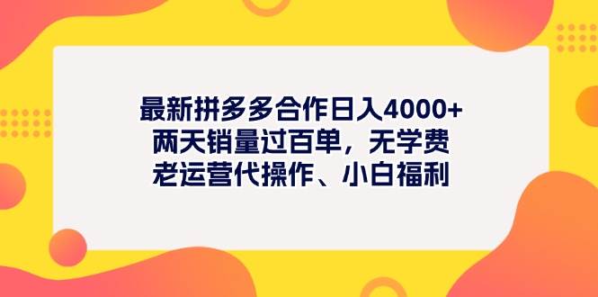 最新拼多多项目日入4000+两天销量过百单，无学费、老运营代操作、小白福利-巴叔叔资源网