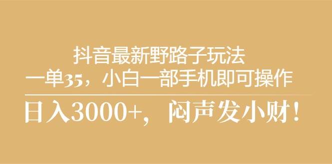 抖音最新野路子玩法，一单35，小白一部手机即可操作，，日入3000+，闷…-巴叔叔资源网