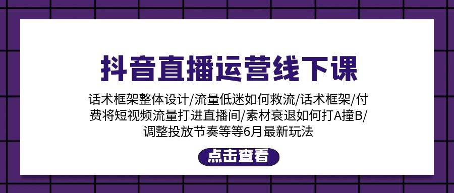 抖音直播运营线下课：话术框架/付费流量直播间/素材A撞B/等6月新玩法-巴叔叔资源网