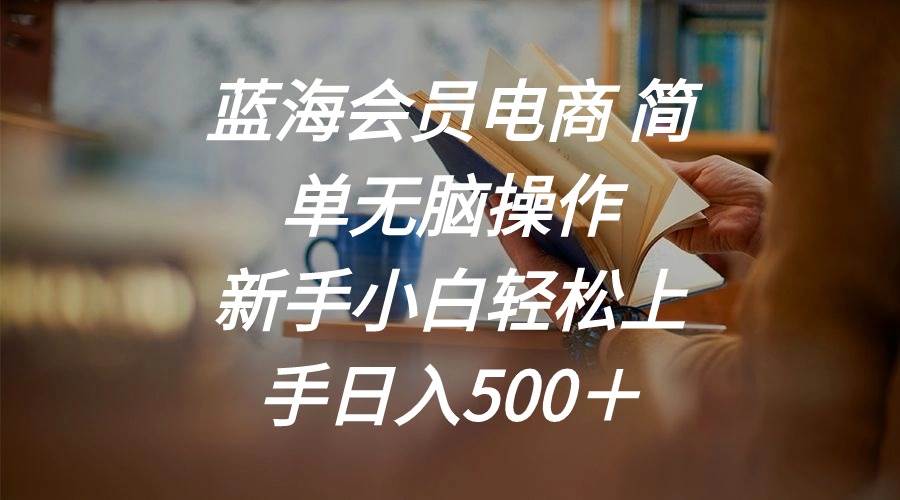 蓝海会员电商 简单无脑操作 新手小白轻松上手日入500＋-巴叔叔资源网