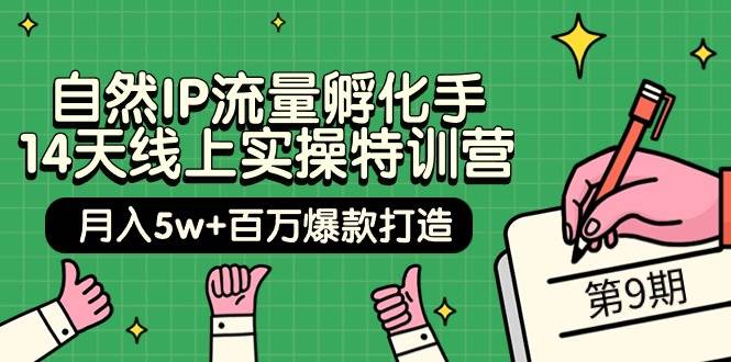 自然IP流量孵化手 14天线上实操特训营【第9期】月入5w+百万爆款打造 (74节)-巴叔叔资源网