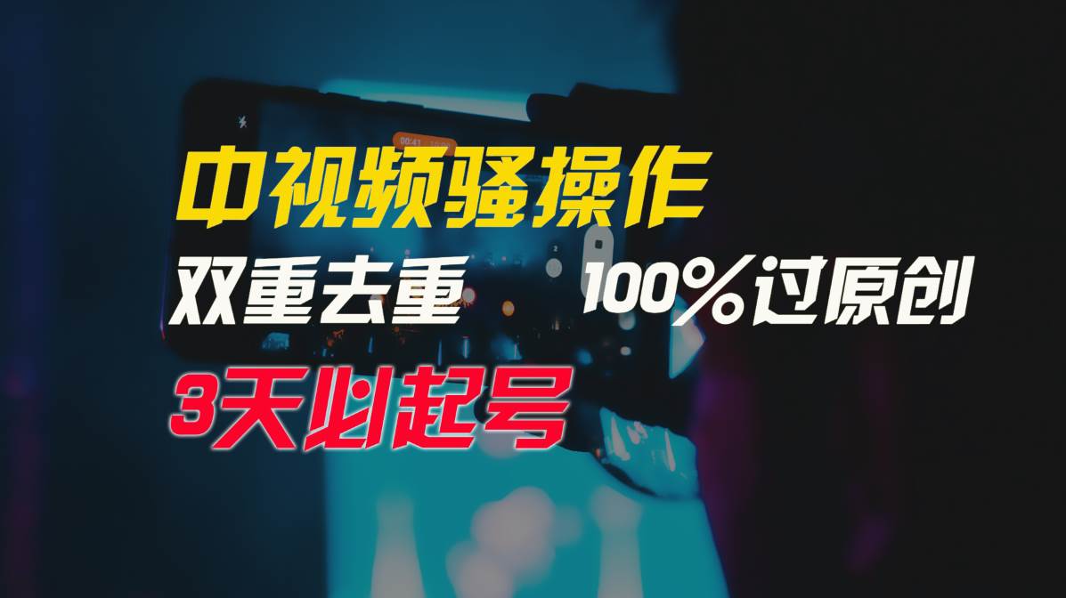 中视频骚操作，双重去重100%过原创，3天比必起号，简单无脑，月入3W+-巴叔叔资源网