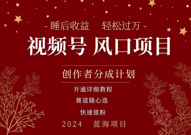 拥有睡眠收益的微信视频号大风口项目，轻松月入过万+，多赛道选择，可…-巴叔叔资源网