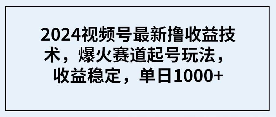 2024视频号最新撸收益技术，爆火赛道起号玩法，收益稳定，单日1000+-巴叔叔资源网