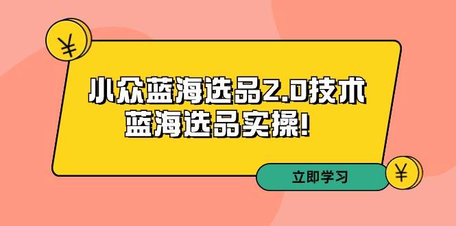 拼多多培训第33期：小众蓝海选品2.0技术-蓝海选品实操！-巴叔叔资源网