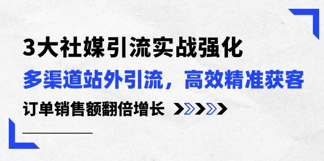 3大社媒引流实操强化，多渠道站外引流/高效精准获客/订单销售额翻倍增长-巴叔叔资源网
