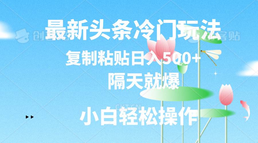 最新头条冷门玩法，隔天就爆，复制粘贴日入500+-巴叔叔资源网