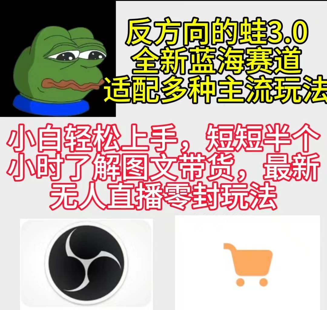 反方向的蛙3.0，图文最新玩法，变现多元化，新蓝海项目，小白轻松上手-巴叔叔资源网