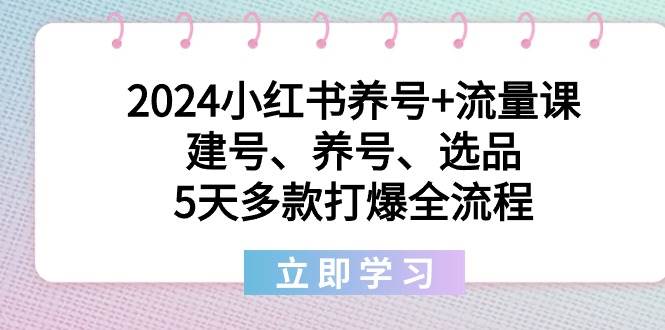 2024小红书养号+流量课：建号、养号、选品，5天多款打爆全流程-巴叔叔资源网