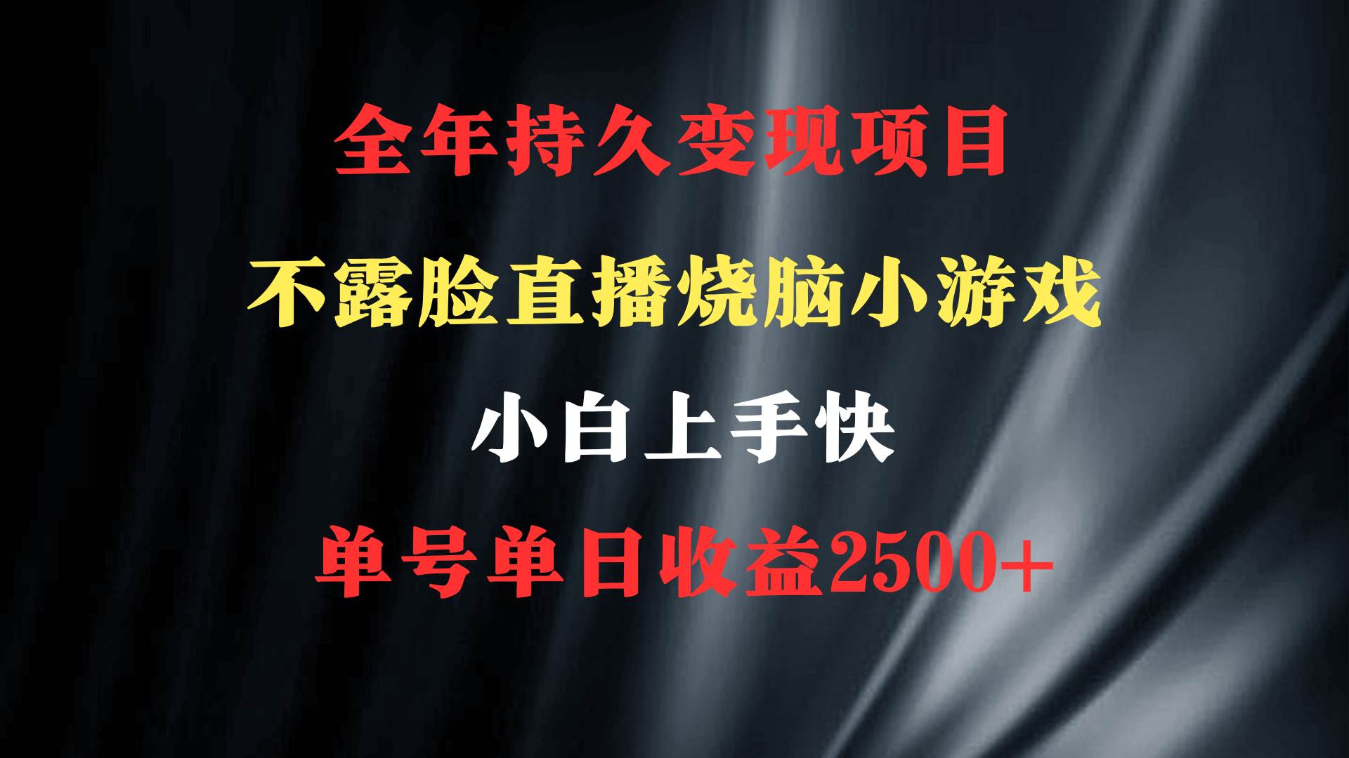 2024年 最优项目，烧脑小游戏不露脸直播  小白上手快 无门槛 一天收益2500+-巴叔叔资源网