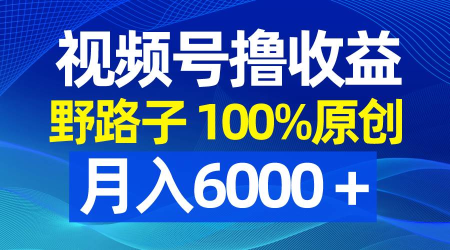 视频号野路子撸收益，100%原创，条条爆款，月入6000＋-巴叔叔资源网