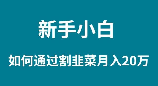 新手小白如何通过割韭菜月入 20W-巴叔叔资源网