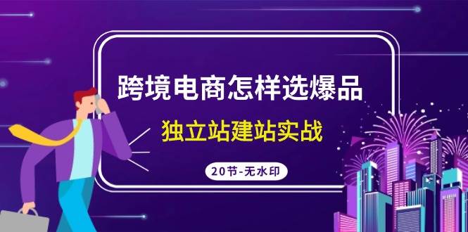 跨境电商怎样选爆品，独立站建站实战（20节高清无水印课）-巴叔叔资源网