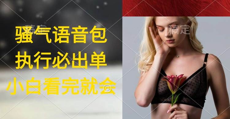 执行就出单，日入2000+，超火骚气语音包，小白看完课程就能马上实操-巴叔叔资源网