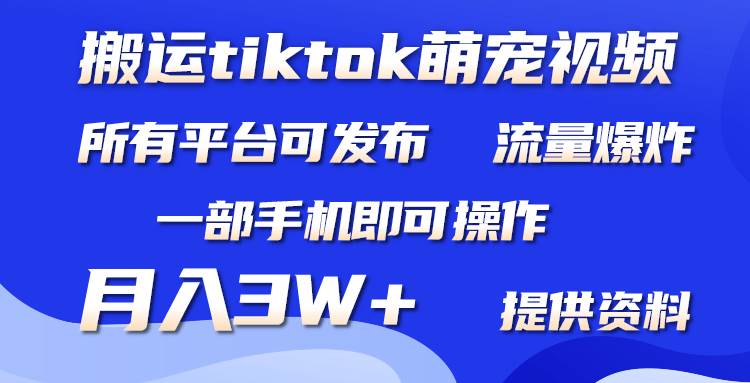 搬运Tiktok萌宠类视频，一部手机即可。所有短视频平台均可操作，月入3W+-巴叔叔资源网
