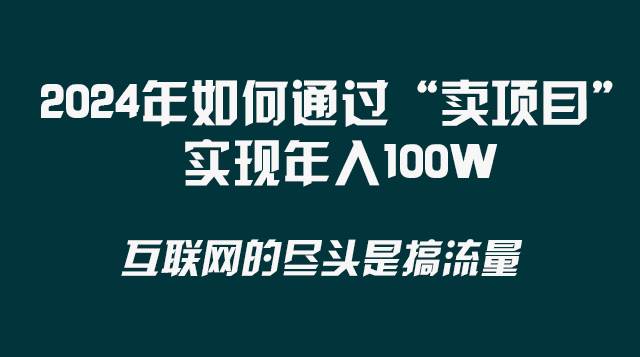 2024年如何通过“卖项目”实现年入100W-巴叔叔资源网