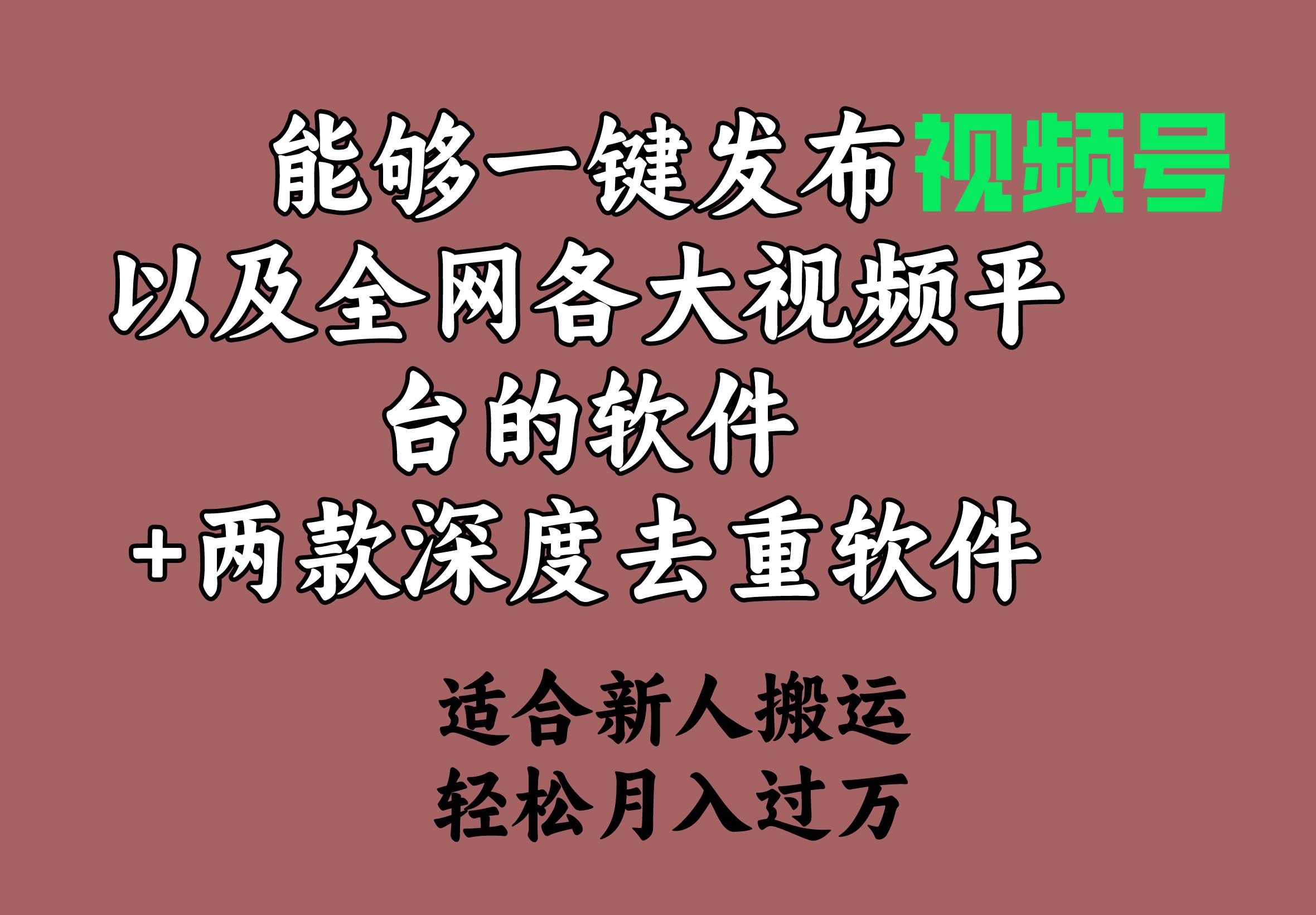 能够一键发布视频号以及全网各大视频平台的软件+两款深度去重软件 适合…-巴叔叔资源网