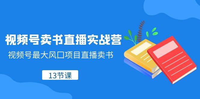 视频号-卖书直播实战营，视频号最大风囗项目直播卖书（13节课）-巴叔叔资源网