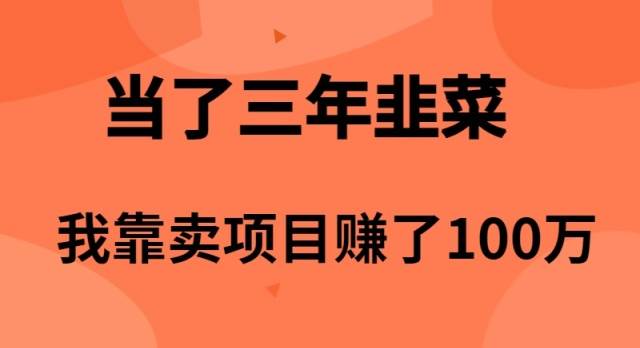 当了3年韭菜，我靠卖项目赚了100万-巴叔叔资源网