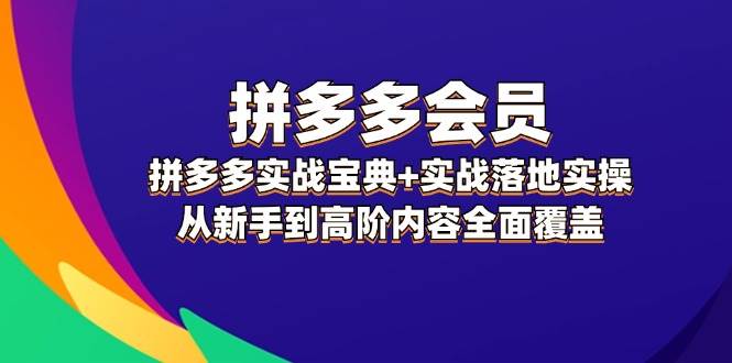 拼多多 会员，拼多多实战宝典+实战落地实操，从新手到高阶内容全面覆盖-巴叔叔资源网