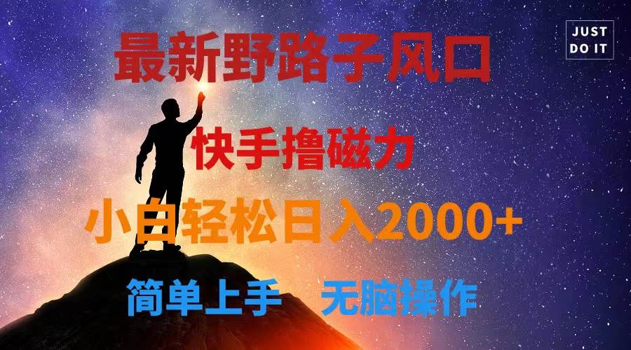 最新风口！快手撸磁力，野路子，小白无脑操作日入2000+-巴叔叔资源网