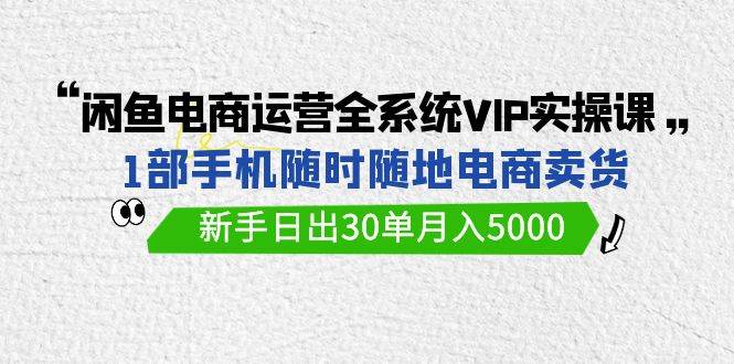 闲鱼电商运营全系统VIP实战课，1部手机随时随地卖货，新手日出30单月入5000-巴叔叔资源网