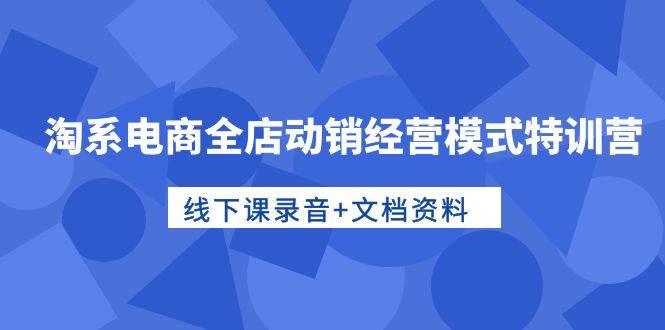 淘系电商全店动销经营模式特训营，线下课录音+文档资料-巴叔叔资源网