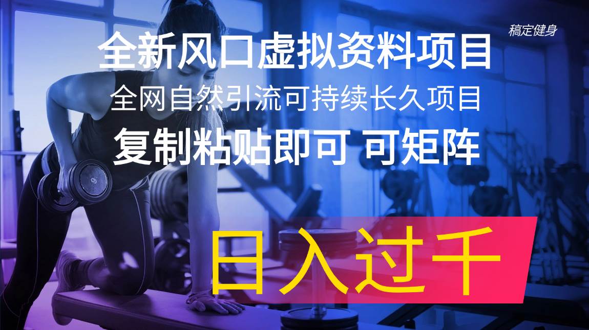 全新风口虚拟资料项目 全网自然引流可持续长久项目 复制粘贴即可可矩阵…-巴叔叔资源网