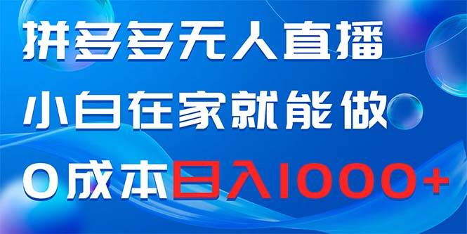 拼多多无人直播，小白在家就能做，0成本日入1000+-巴叔叔资源网