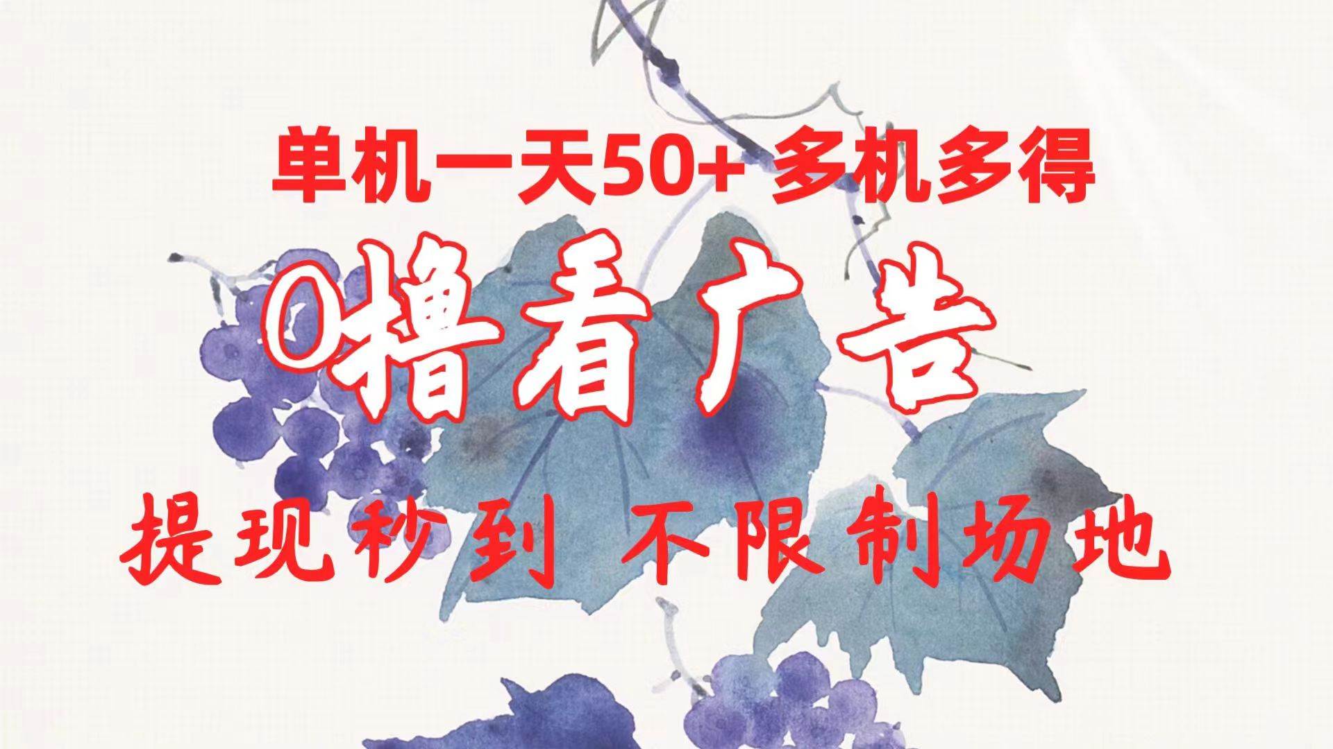 0撸看广告 单机一天50+多机多得 提现秒到 不限制场地操作-巴叔叔资源网