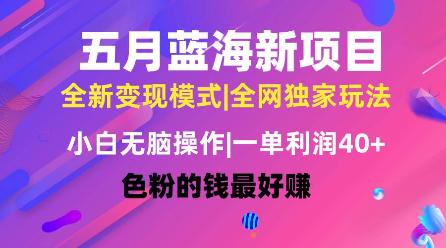 五月蓝海项目全新玩法，小白无脑操作，一天几分钟，矩阵操作，月入4万+-巴叔叔资源网