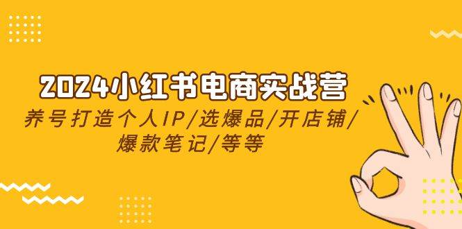2024小红书电商实战营，养号打造IP/选爆品/开店铺/爆款笔记/等等（24节）-巴叔叔资源网