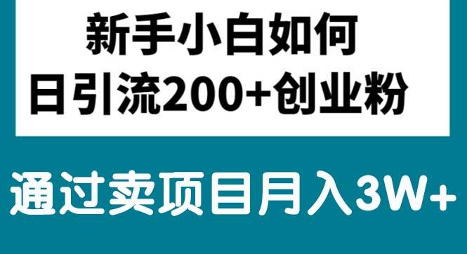 新手小白日引流200+创业粉,通过卖项目月入3W+-巴叔叔资源网