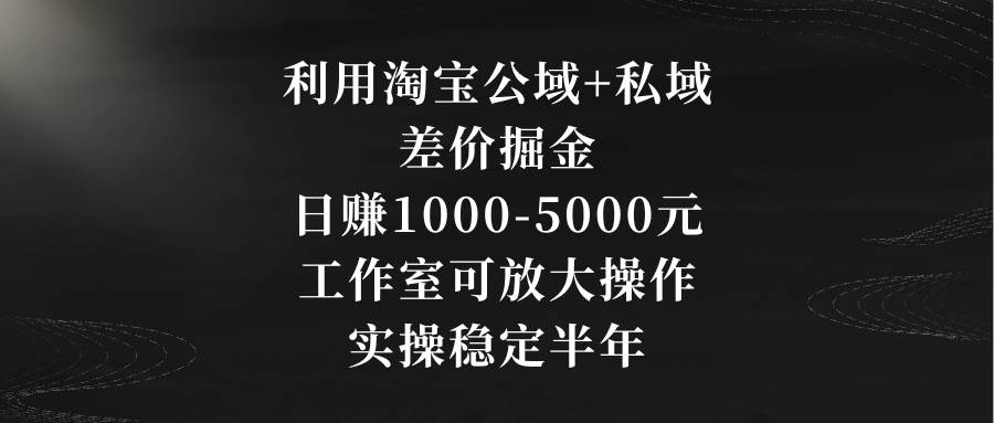 利用淘宝公域+私域差价掘金，日赚1000-5000元，工作室可放大操作，实操…-巴叔叔资源网