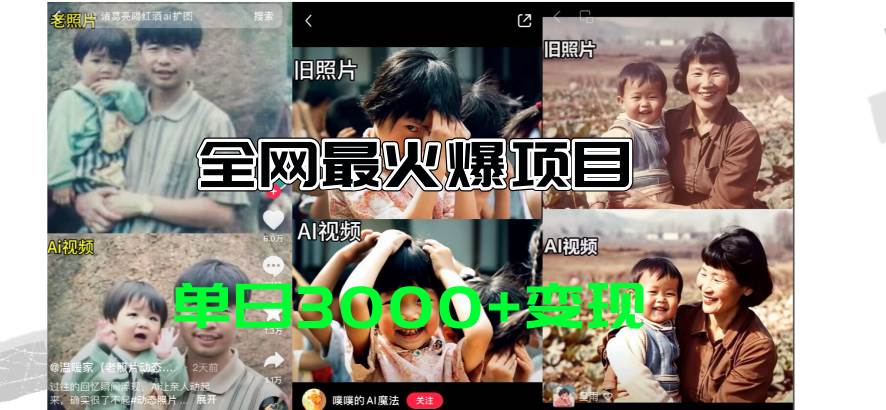 全网爆火的AI让老照片动起来教程，蹭热点日赚3000+，内含免费工具一键…-巴叔叔资源网