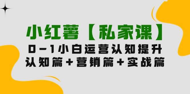 小红薯【私家课】0-1玩赚小红书内容营销，认知篇+营销篇+实战篇（11节课）-巴叔叔资源网