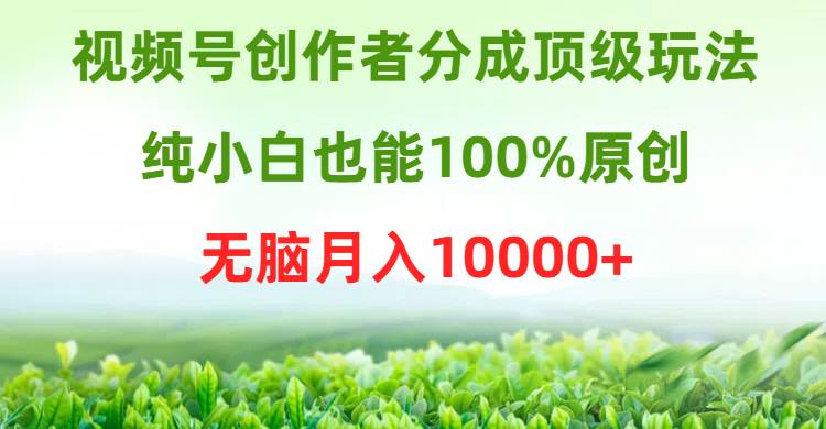 视频号创作者分成顶级玩法，纯小白也能100%原创，无脑月入10000+-巴叔叔资源网