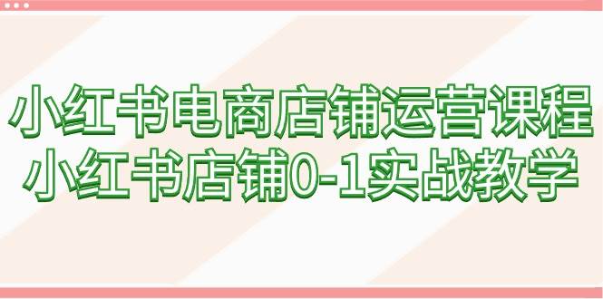 小红书电商店铺运营课程，小红书店铺0-1实战教学（60节课）-巴叔叔资源网