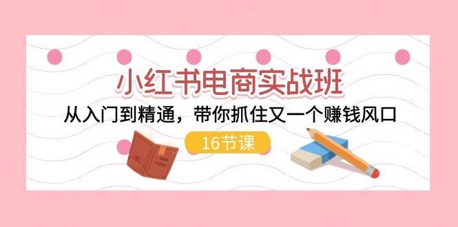 小红书电商实战班，从入门到精通，带你抓住又一个赚钱风口（16节）-巴叔叔资源网