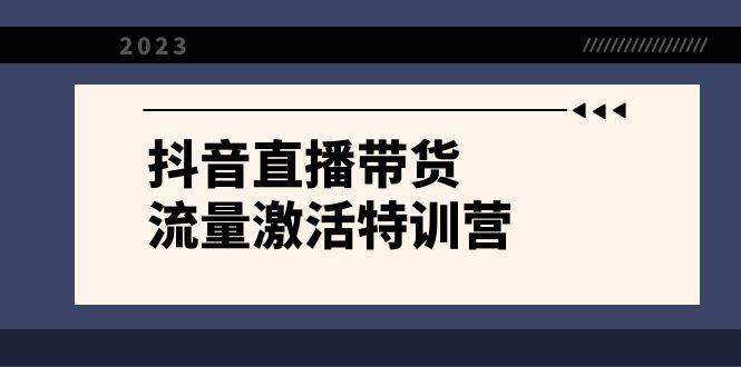 抖音直播带货-流量激活特训营，入行新手小白主播必学（21节课+资料）-巴叔叔资源网