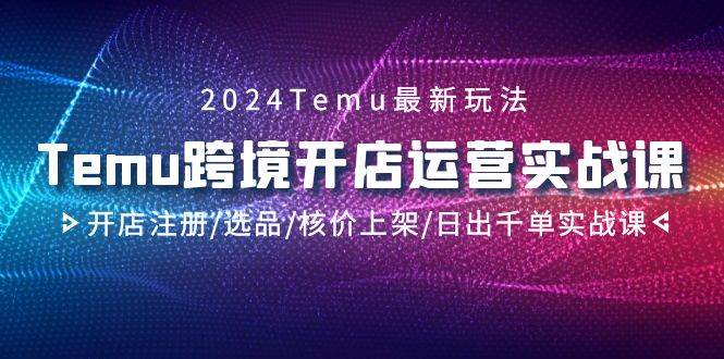 2024Temu跨境开店运营实战课，开店注册/选品/核价上架/日出千单实战课-巴叔叔资源网