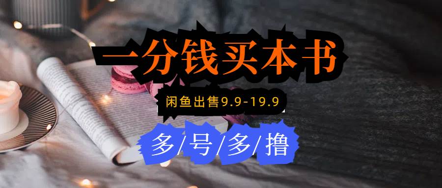 每天花1分钱买一本书，闲鱼出售3.9-13.9不等，多账号多撸 新手小白均可操作-巴叔叔资源网