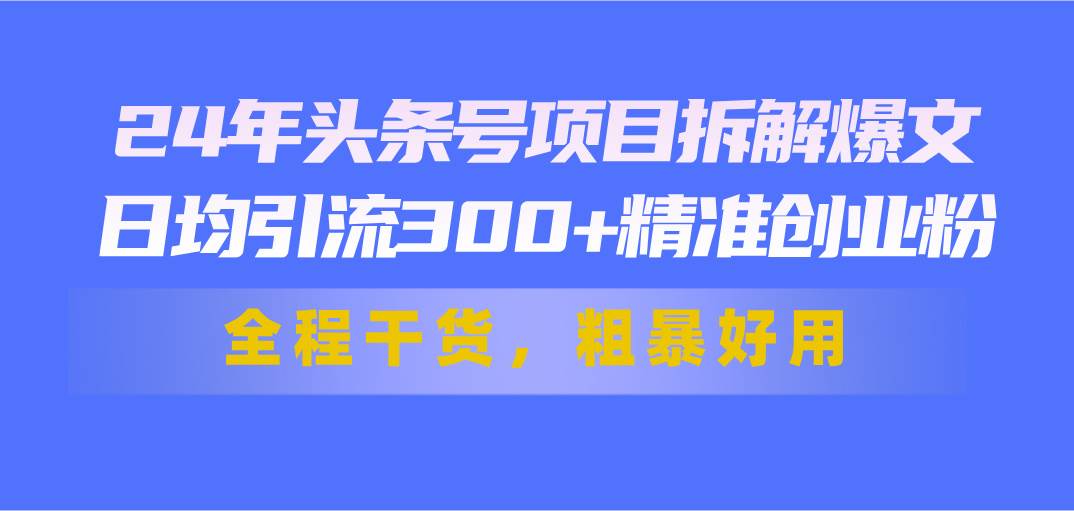 24年头条号项目拆解爆文，日均引流300+精准创业粉，全程干货，粗暴好用-巴叔叔资源网