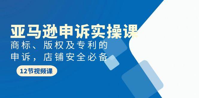 亚马逊-申诉实战课，商标、版权及专利的申诉，店铺安全必备-巴叔叔资源网