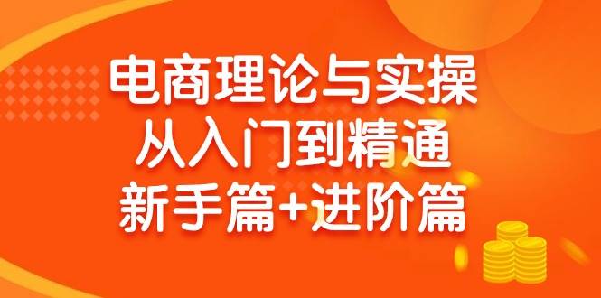 电商理论与实操从入门到精通 新手篇+进阶篇-巴叔叔资源网