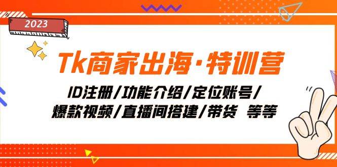 Tk商家出海·特训营：ID注册/功能介绍/定位账号/爆款视频/直播间搭建/带货-巴叔叔资源网